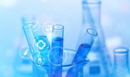 質(zhì)粒隨機整合穩(wěn)定細(xì)胞株